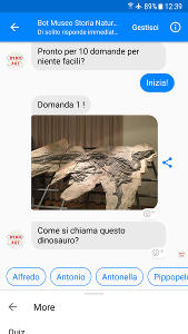 chat-bot su facebook